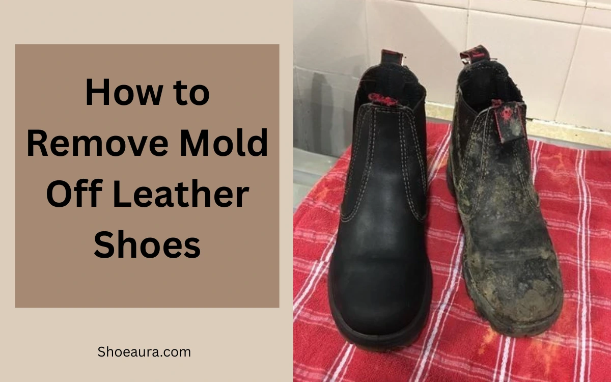 How to Remove Mold off Leather Shoes